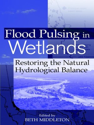 cover image of Flood Pulsing in Wetlands